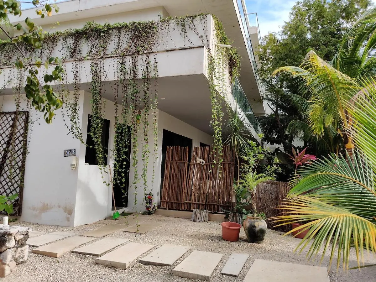 Cocomobay, Apartment Fully Furnished In Tulum Mexico